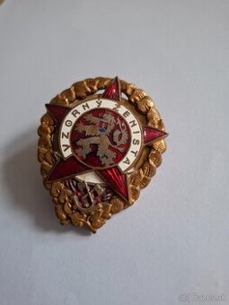 Odznak Vzorný ženista