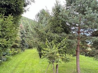 Chata na Drienici - 1