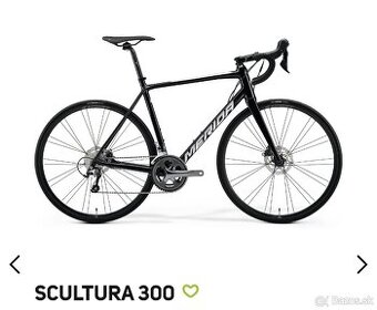 Merida scultura 300