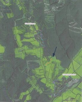 Predám Lesy a TTP v obci V.Hrušov(PARC.E 940)PRI MAŠKOVCIACH