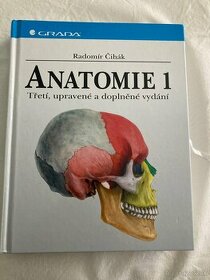 Anatomia čihák - 1