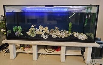 Predam akvarium 1000 litrov