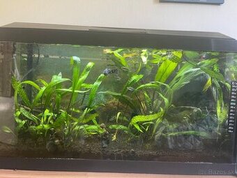 AKVARIUM 1 60L