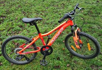 Detský horsky bicykel 20”