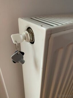 2x Kluc na odvzdusnenie radiatorov.