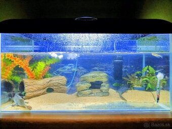 Akvárium/aquarium s kompletným príslušenstvom