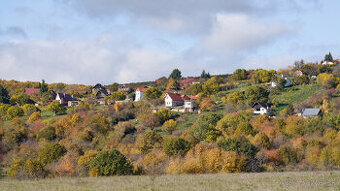 Pozemok v katastrál. úz. Pukanec -na predaj - 1