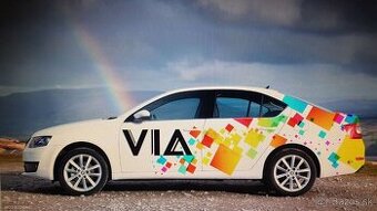 Taxi šofér , vodič taxislužby