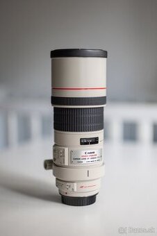 Canon EF 300mm f/4L IS USM