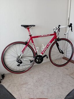 Cestný bicykel Fokus