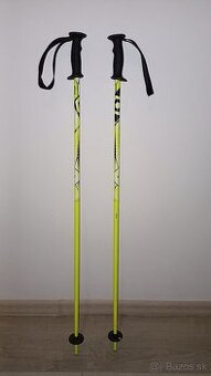Lyžiarske palice 100