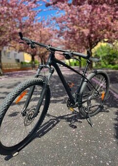 Specialized Rockhopper 29