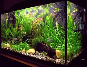 Akvarium 50x40x30
