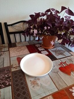 Allegra tanier biela