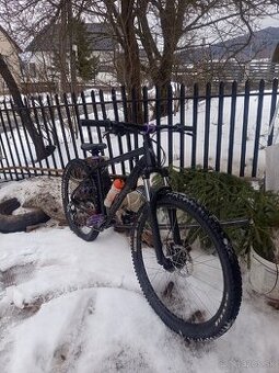 Vedora Camouflage 2019