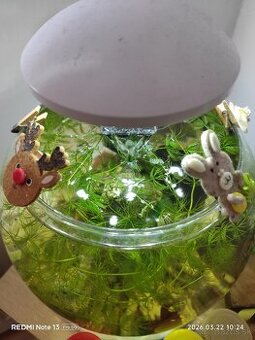 Sklenena Gula pre rybky...krevety.