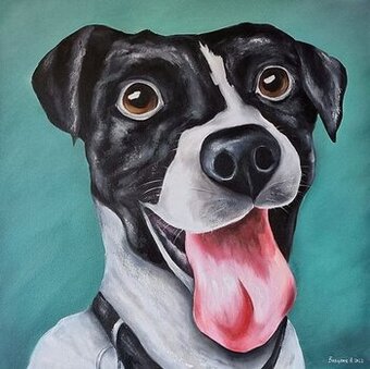 Obraz pes Jack Russell teriér – olejomaľba (50x50 cm)