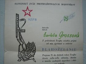 partizansky diplom SZPB
