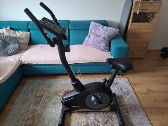 Rotoped Hop-sport HS-2080 Spark cierno-zlaty