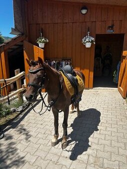 Predam sikovneho pony pre deti