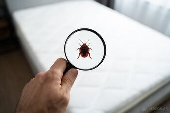 Hĺbkové antialergénne čistenie vysávanie matracov a kobercov