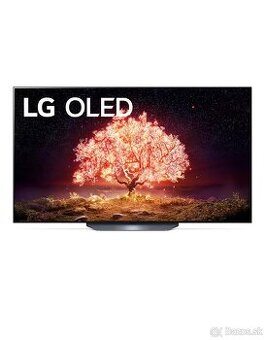 OLED TV LG OLED65B1