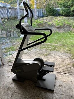 Technogym stepper xt pro 600