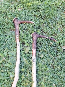 Vychádzková palica z parohu