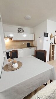 Prenájom 1. izbový byt - 1