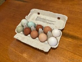 Domáce vajcia