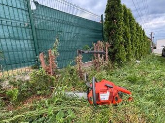 Vypilovanie tují, úprava živých plotov, odvoz odpadu