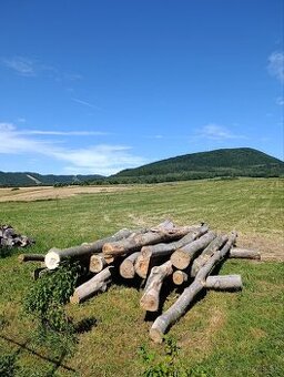 Pílenie, štiepanie, príprava palivového dreva