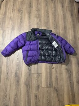 THE NORTH FACE RETRO NUPTSE 700