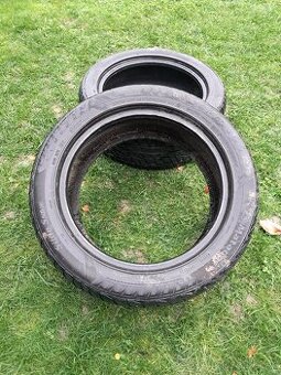 225/50 R17 zimne
