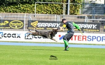 Nemecký ovčiak s PP