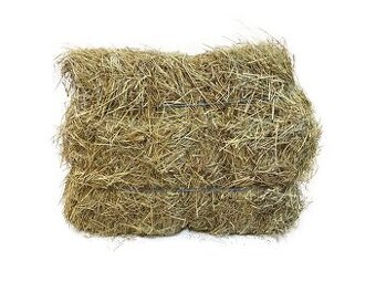 Predám malé balíky sena