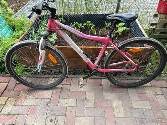 Ctm charisma 1,0