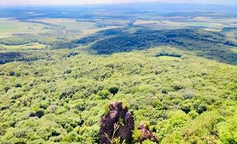 Predám lesný pozemok Rankovce 5593 m2