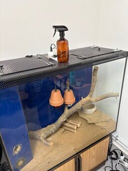 Terarium-aquarium