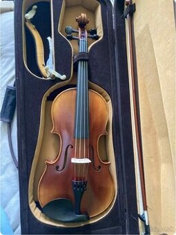 Viola