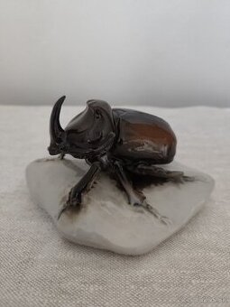 Royal dux chrobák porcelánová soška