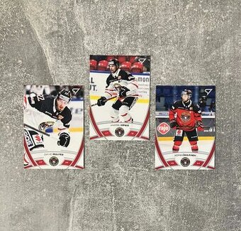 Hokejové kartičky Slovensko EXTRALIGA base mix