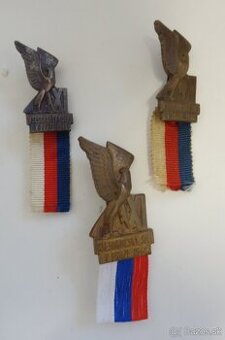 Sokolske odznaky