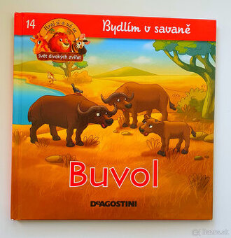 Bývam na savane.Byvol.