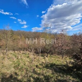 KANAŠ pozemok v lone prírody len 7 km od Prešova 11€/m2