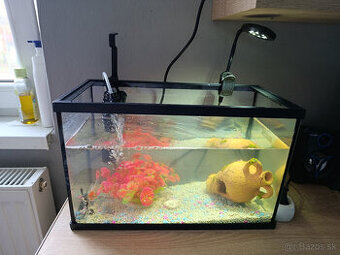 akvárium - kompet aj s rybičkami