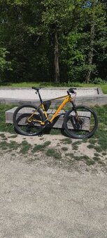 Carbon XL 21", Sava 29"