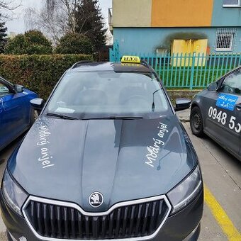 Šofér taxikár