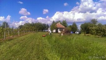 Predaj vinice 2705 m2, Levice-Kalinčiakovo nad kúpaliskom