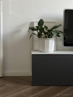 Skrinka na TV - IKEA BESTÅ